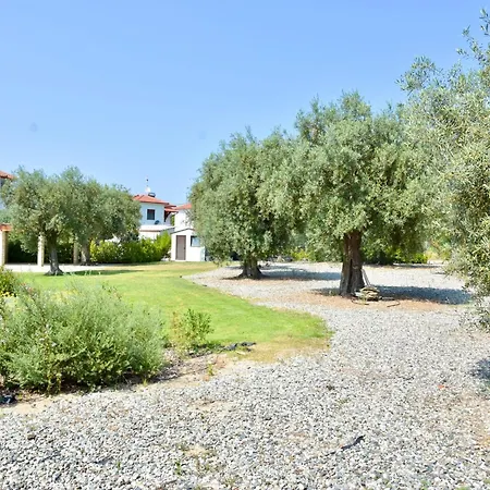 Luxury For 14 People Villa