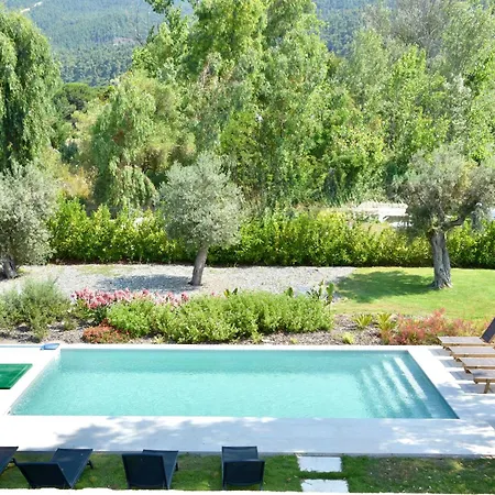 Luxury For 14 People Villa