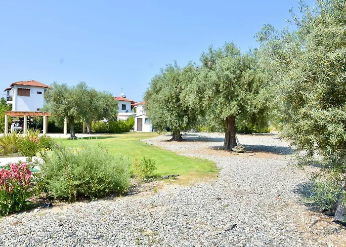 Luxury For 14 People Villa
