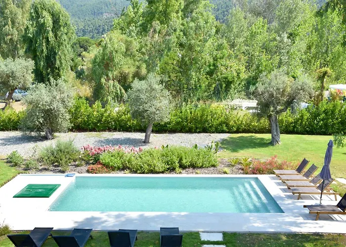 Luxury For 14 People Villa